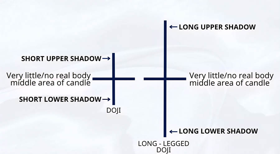 a diagram of different types of body parts