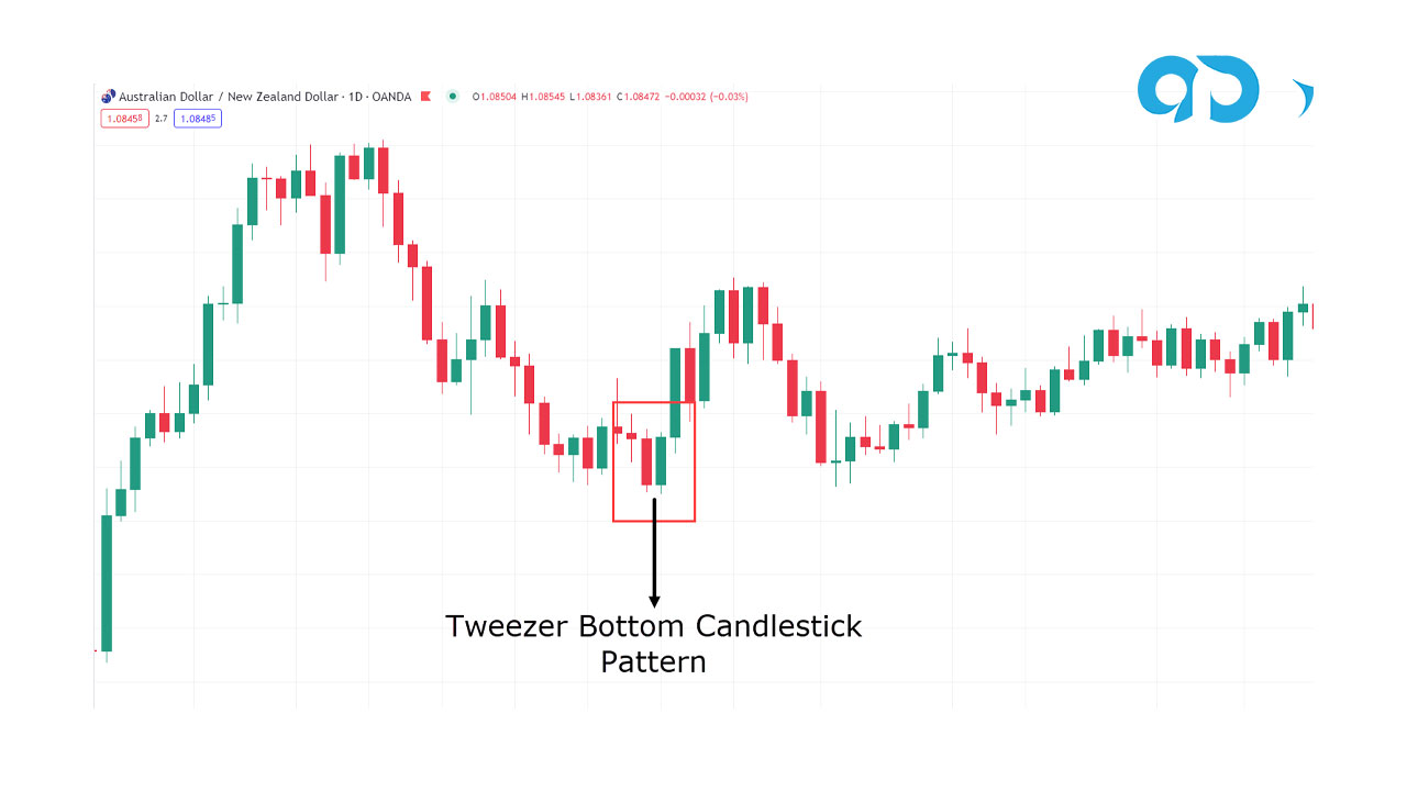 نموذج الملقط