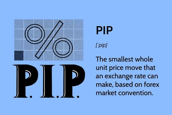Pip (Percentage in Point) in Forex Market Terminology