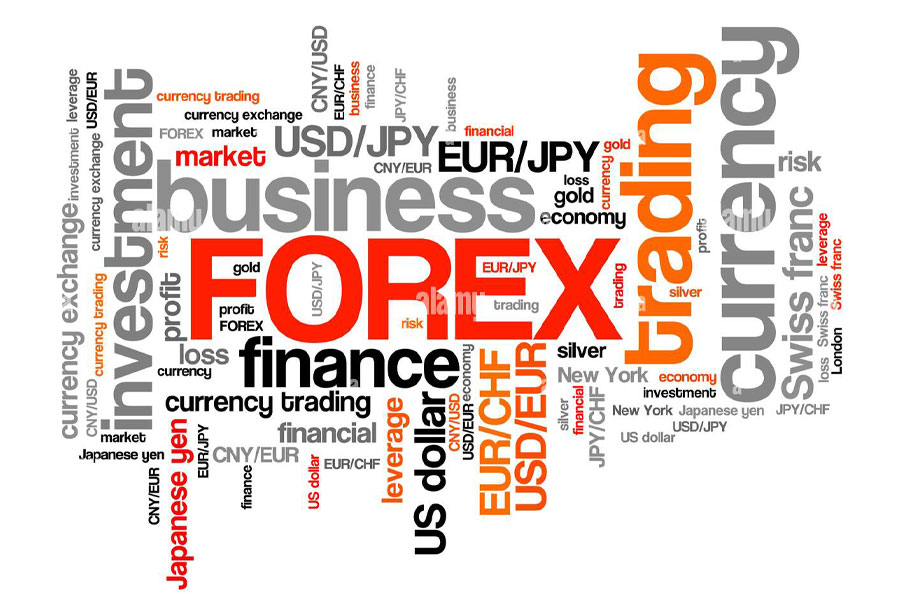 Forex Terminology for Beginners