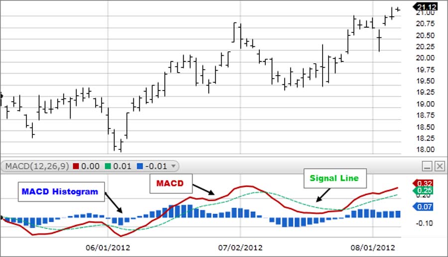 MACD Indicator in Forex