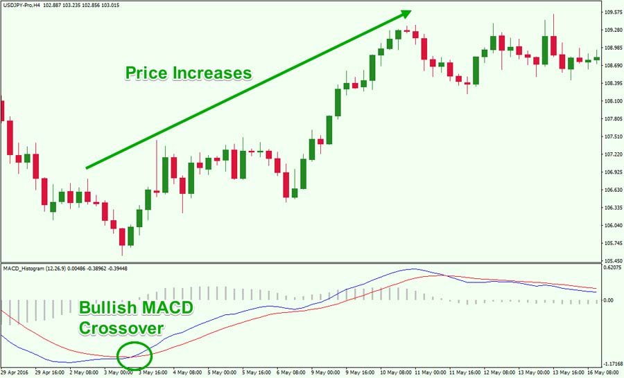 MACD Indicator in Forex