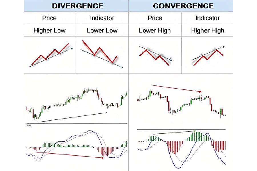 MACD Indicator in Forex