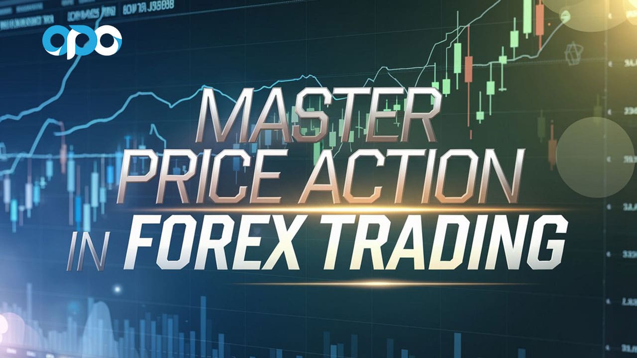 Price Action in Forex Trading