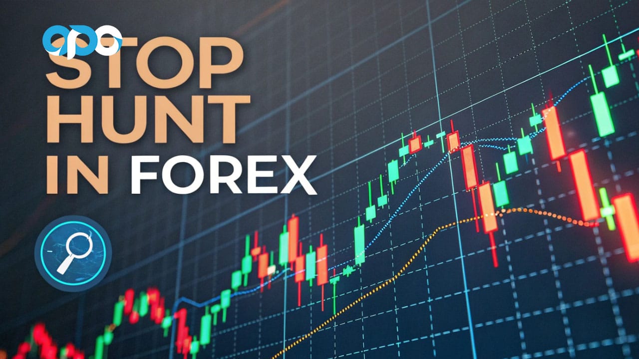 What is Stop Hunt in Forex