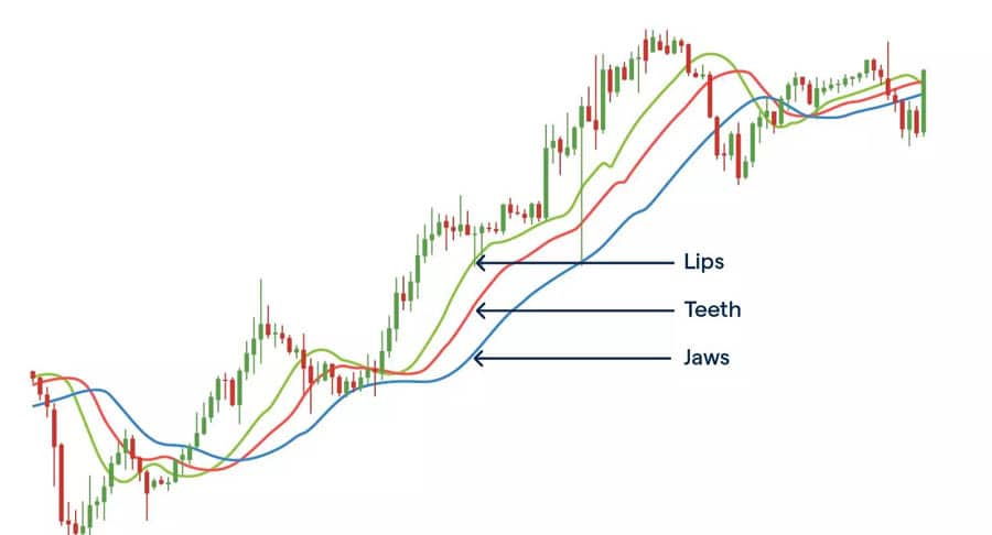 Alligator Indicator In Forex