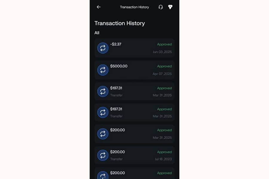 How to View Your Transaction History and Financial Activities in OpoFinance