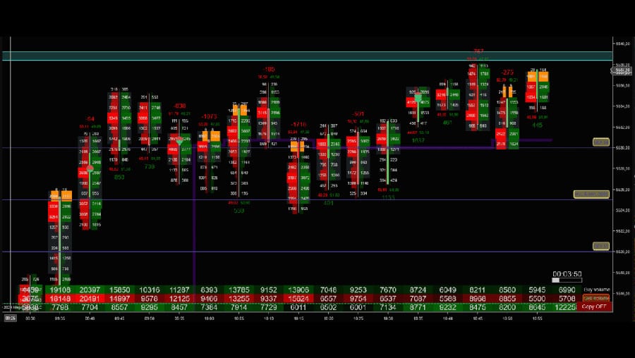 NinjaTrader vs MetaTrader 4