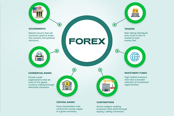 شرکت‌کنندگان اصلی بازار فارکس را بانک‌های بین‌المللی، شرکت‌های تجاری، سرمایه‌گذاری، خرده فروشان ارز و شرکت‌های ارزی غیر بانکی تشکیل می‌دهند. 