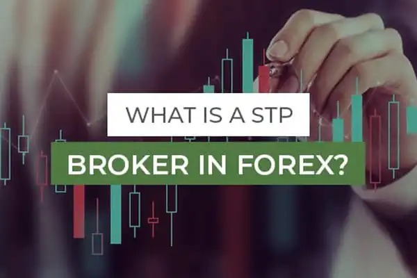 بروکر STP از سیستم پردازش مستقیم برای ارتباط معامله‌گران با بازار استفاده می‌کند. 