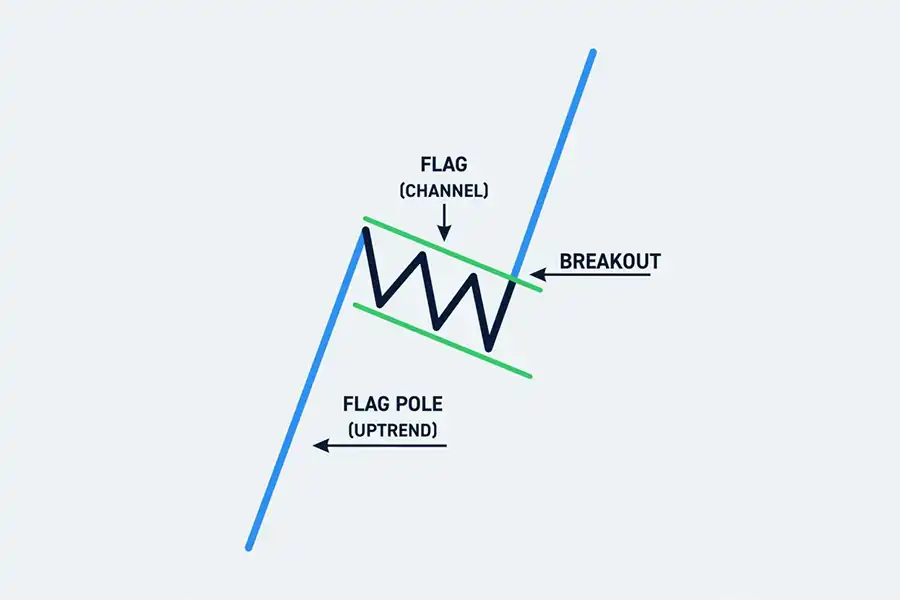 الگوی Flag صعودی زمانی تشکیل می‌شود که قیمت پس از یک حرکت صعودی قوی و سریع، وارد یک کانال نزولی یا یک مثلث متساوی الاضلاع با شیب کم می‌شود. 