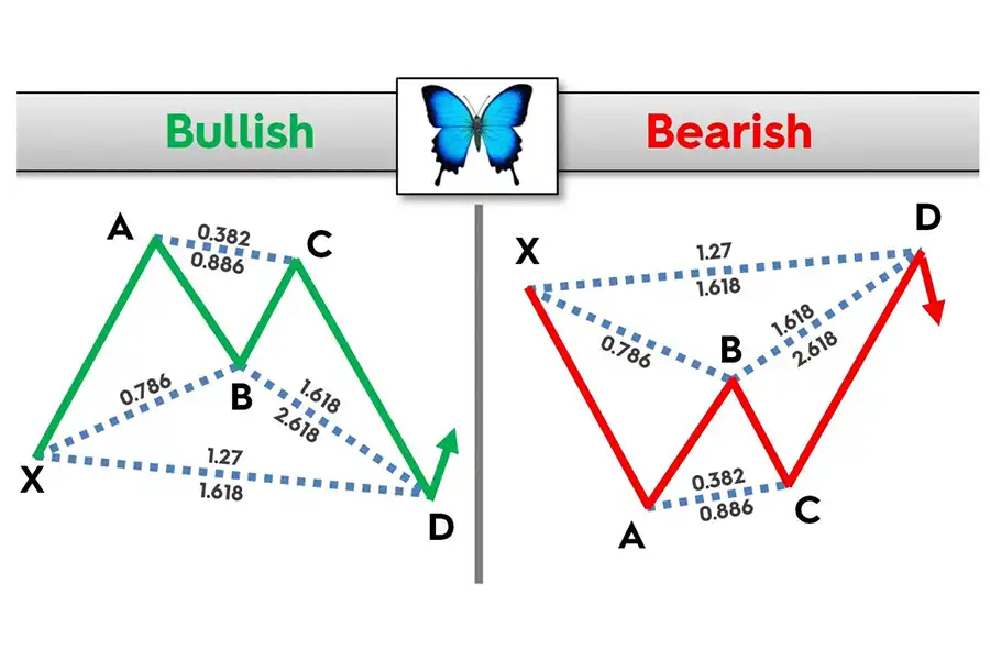  الگوی butterfly به دو شکل صعودی و نزولی می‌تواند در نمودار قیمتی تشکیل شود.