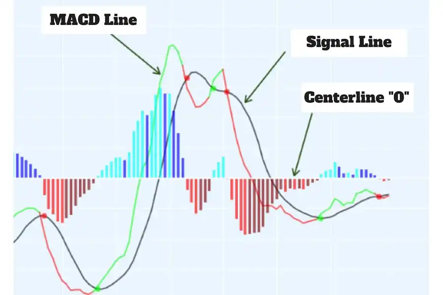 قاطع‌های صعودی یا نزولی بین خط MACD و خط سیگنال می‌تواند تغییرات روند را نشان دهد.